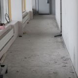 IMG_2441