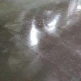 apelsin2_3