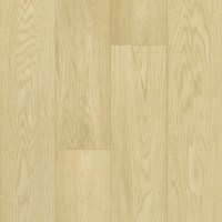 50-64W970