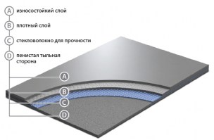 evidance_60_rus
