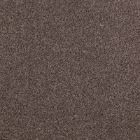 prg332