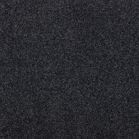 prg351