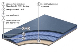 silver_knight_acoustic_7_rus